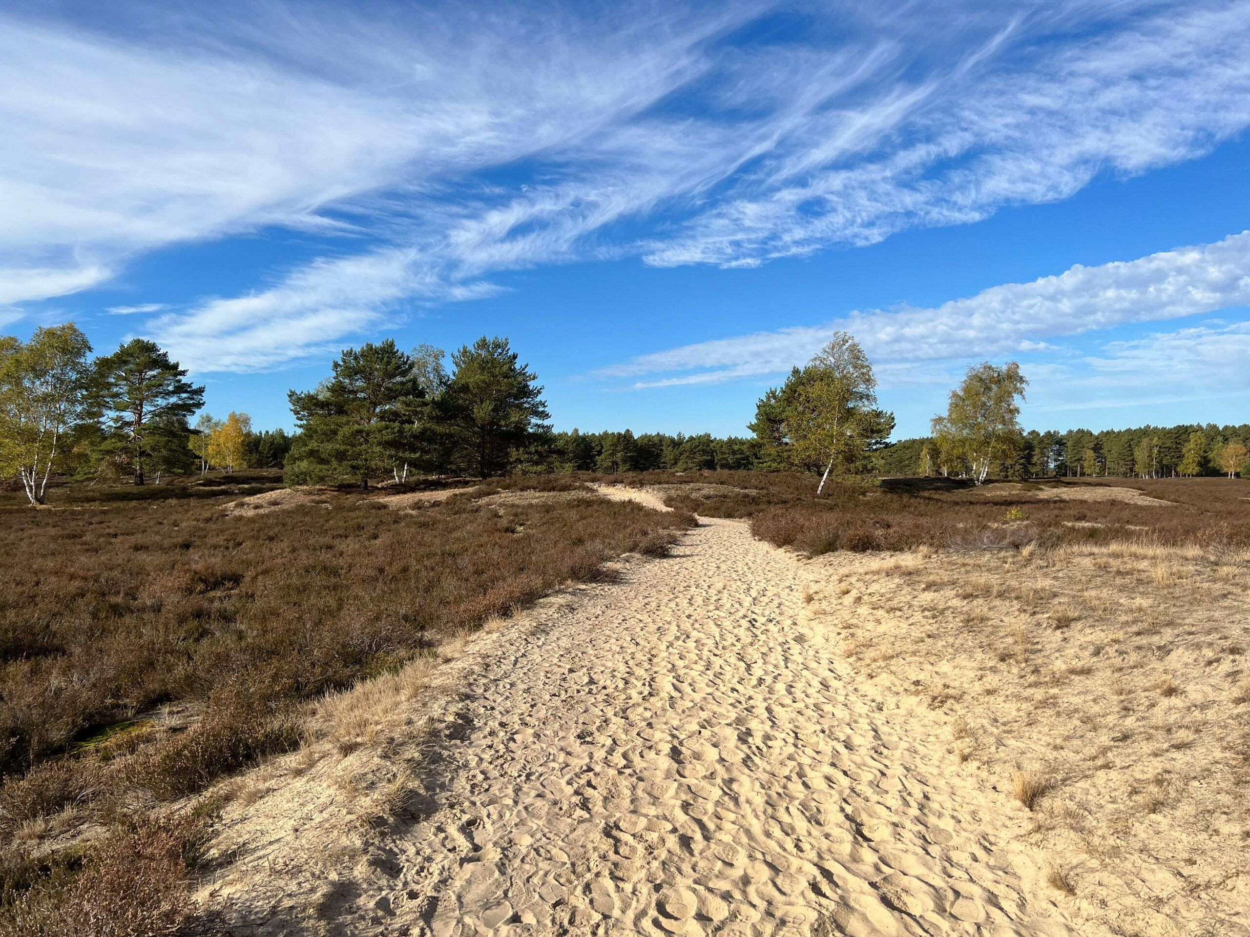 Rostocker Heide